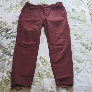 Cello Burgundy raw hemline jeans - 13